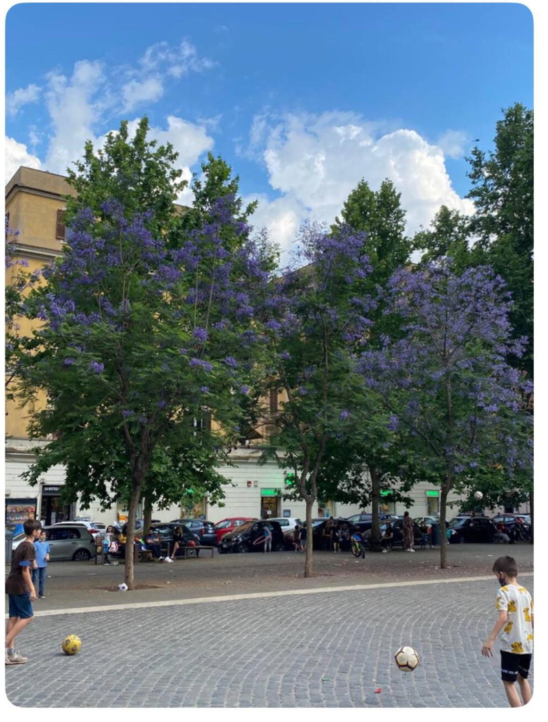 Testaccio Historic House Roma Dış mekan fotoğraf